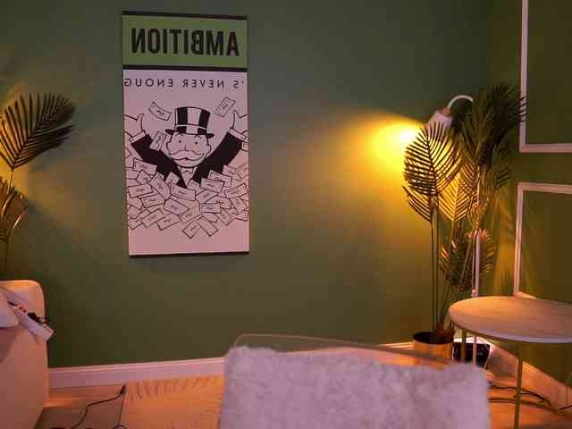 MistyReeds webcam