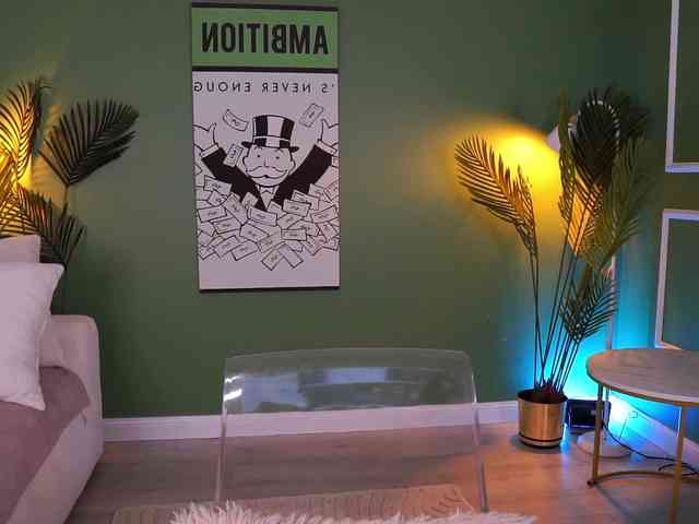 MistyReeds webcam