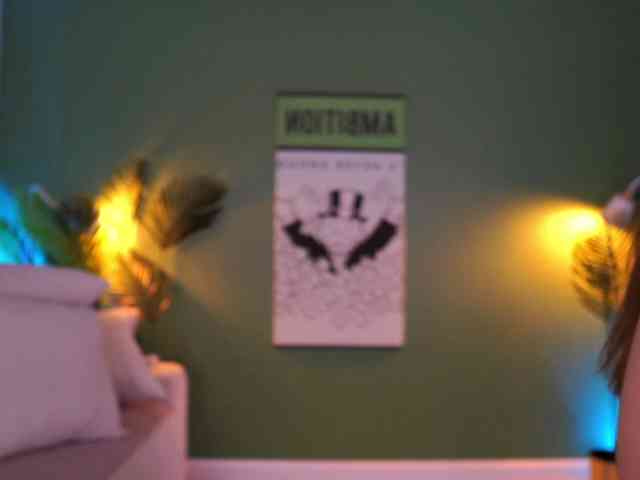MistyReeds webcam