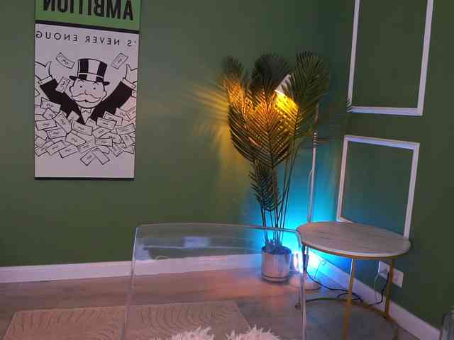MistyReeds webcam