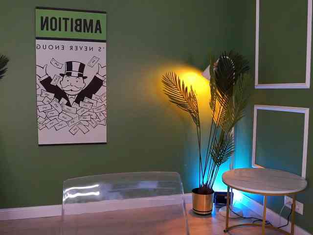 MistyReeds webcam