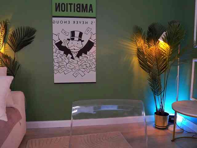 MistyReeds webcam