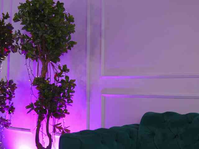ExoticTala webcam