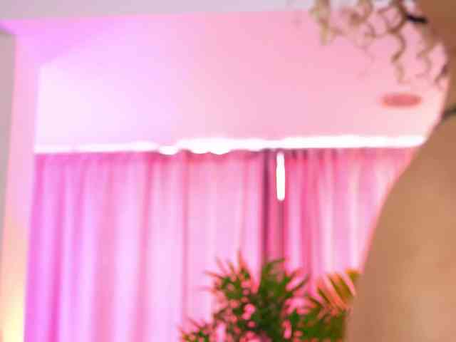 live porn cam free ExoticTala