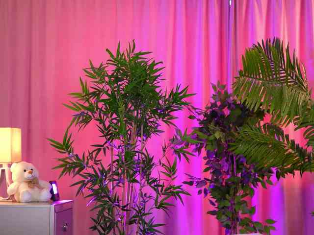 ExoticTala