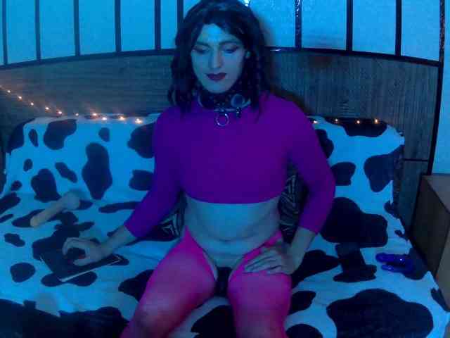 CaprizModam Live Webcam on BongaCams