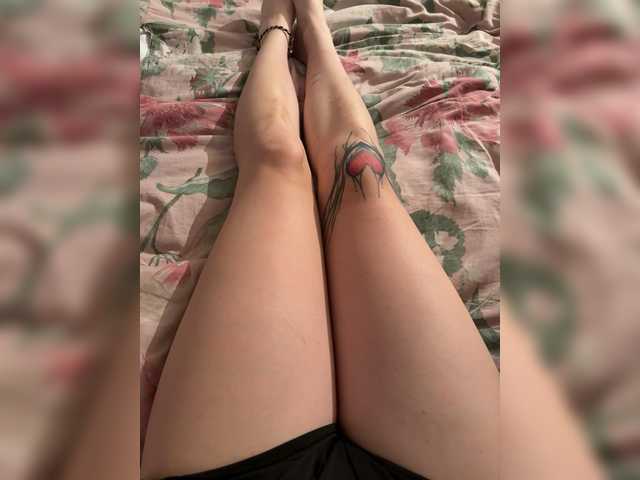 kismet-1 cam belle