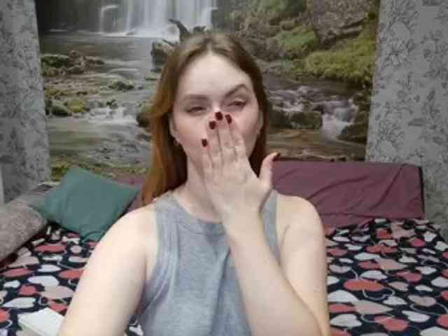 Mililymi webcam