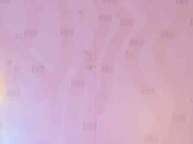 ThinPrincesss