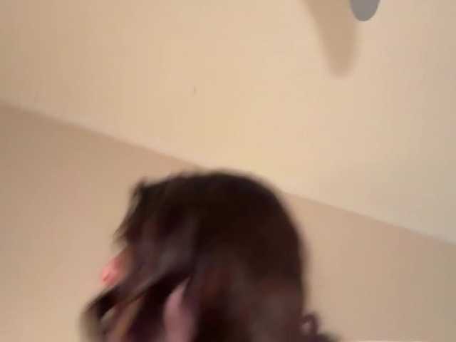 sieena