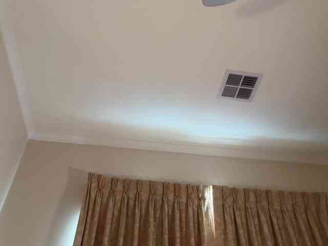 sieena webcam