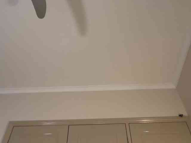 sieena webcam