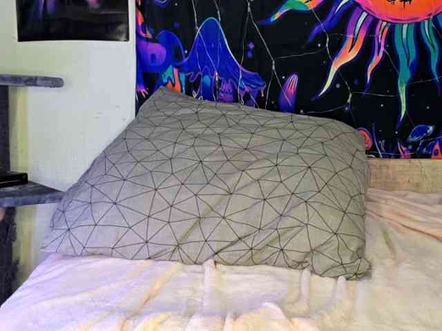 CatherynDowns webcam