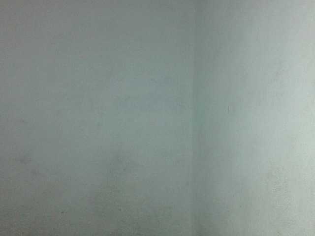 Triida