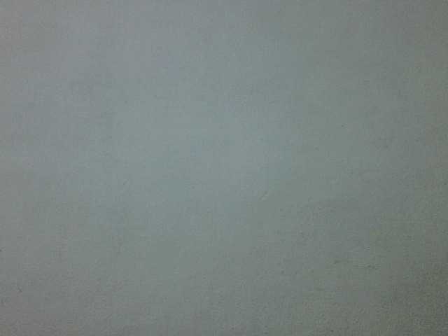 Triida