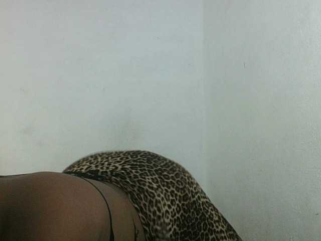 Triida live cam on BongaCams