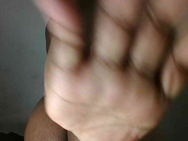 Triida webcam