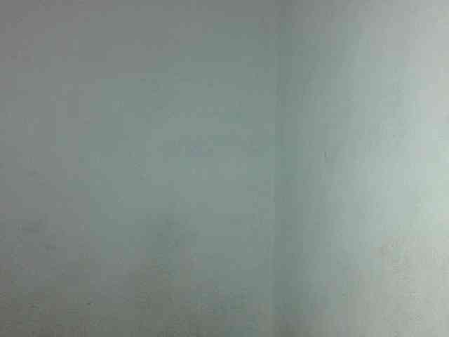 Triida webcam