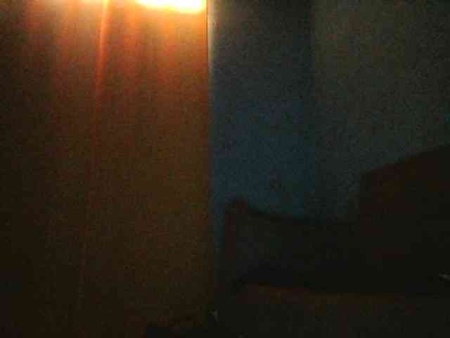 Triida webcam