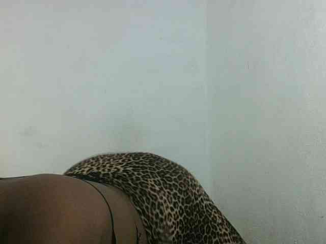 Triida webcam