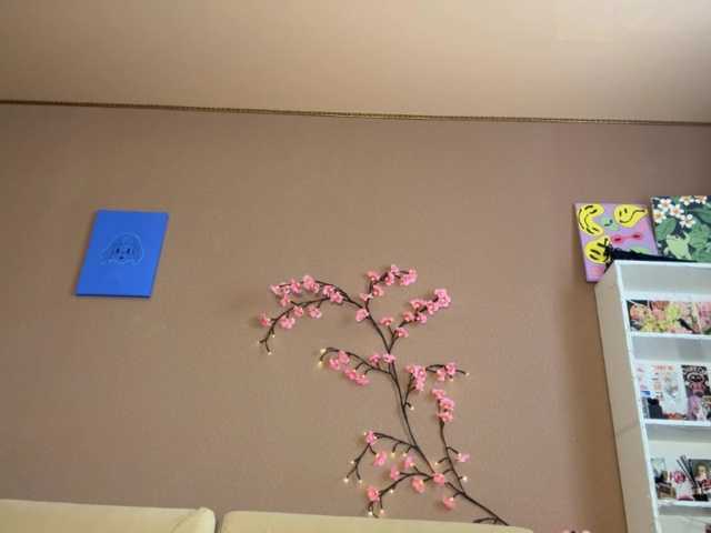 SoraKitty live cam on BongaCams