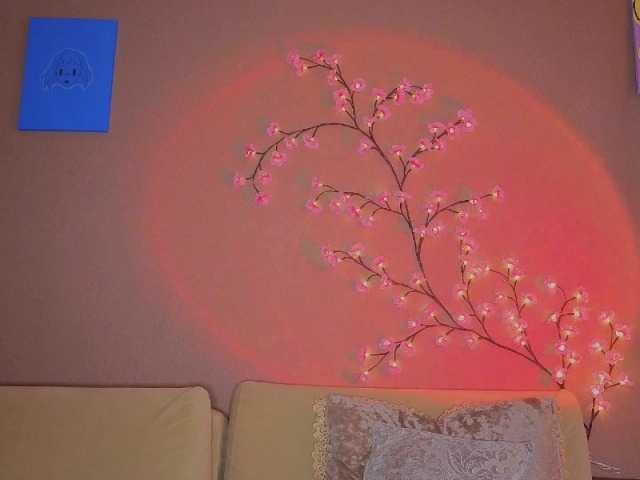 SoraKitty live cam on BongaCams