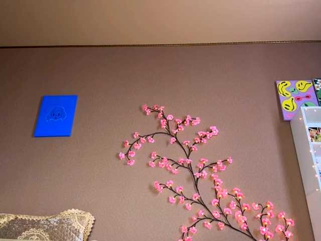 SoraKitty live cam on BongaCams