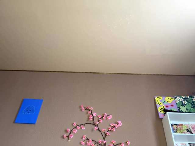 SoraKitty