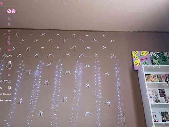 SoraKitty webcam