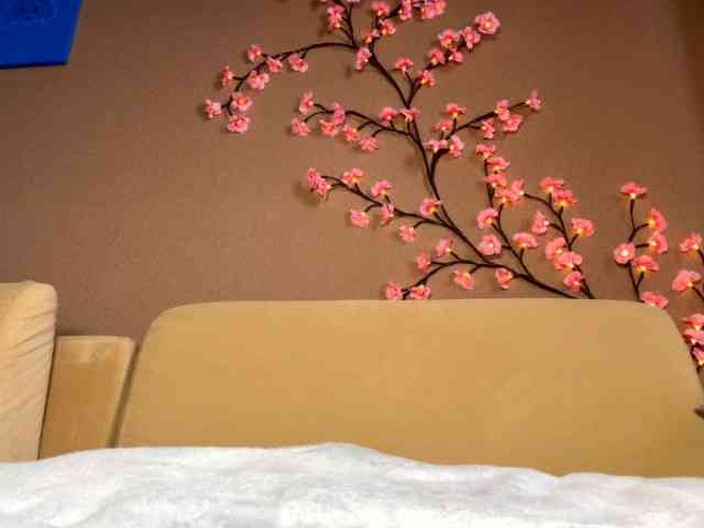 SoraKitty webcam