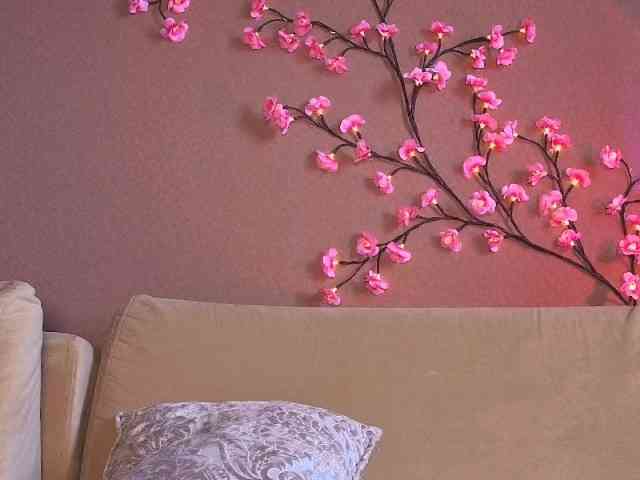 SoraKitty webcam
