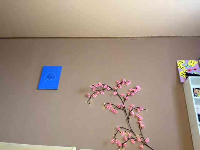 SoraKitty webcam
