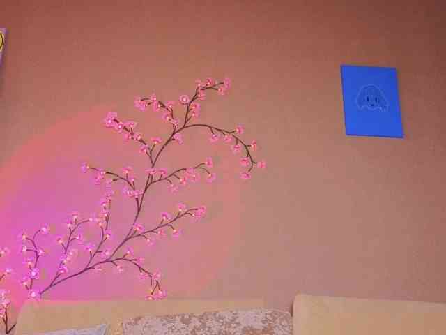 SoraKitty Sex Cam Show