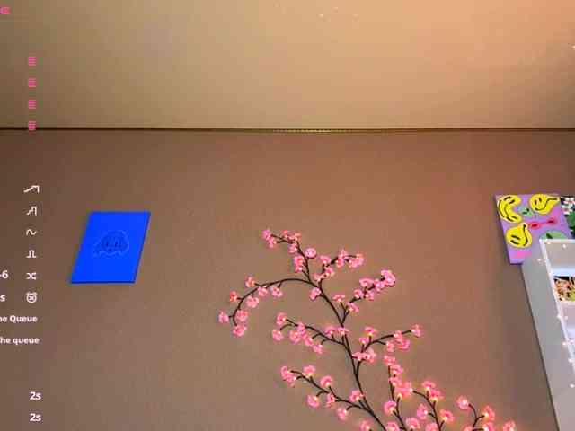SoraKitty webcam