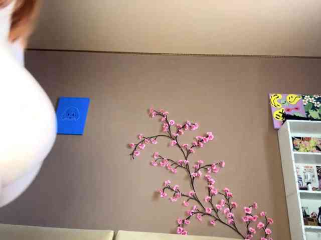 SoraKitty webcam