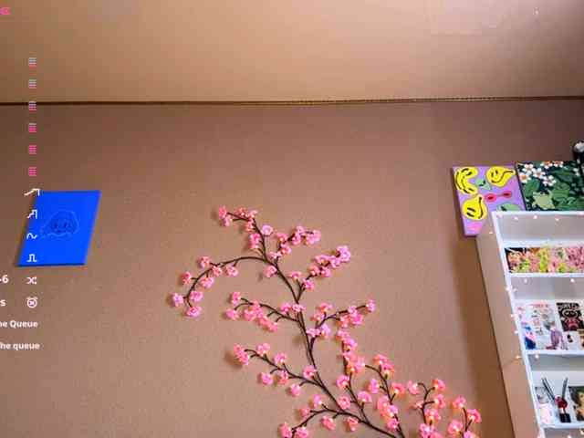 SoraKitty webcam