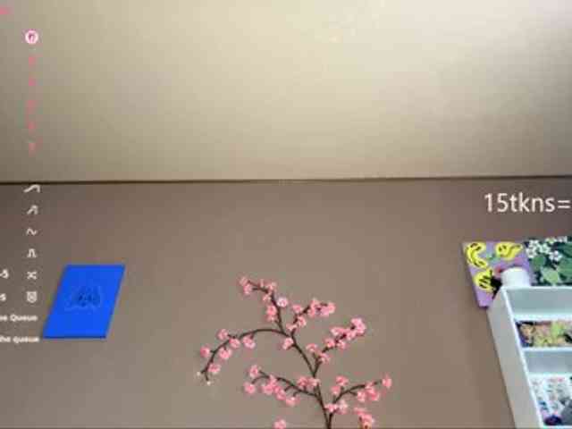 SoraKitty webcam