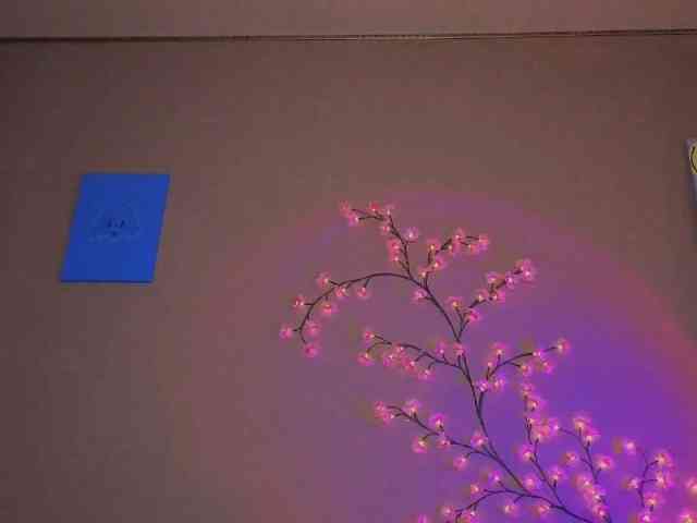SoraKitty webcam