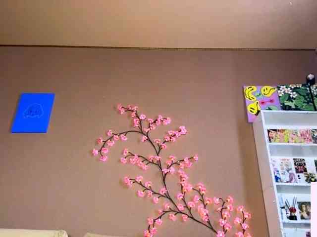 SoraKitty webcam