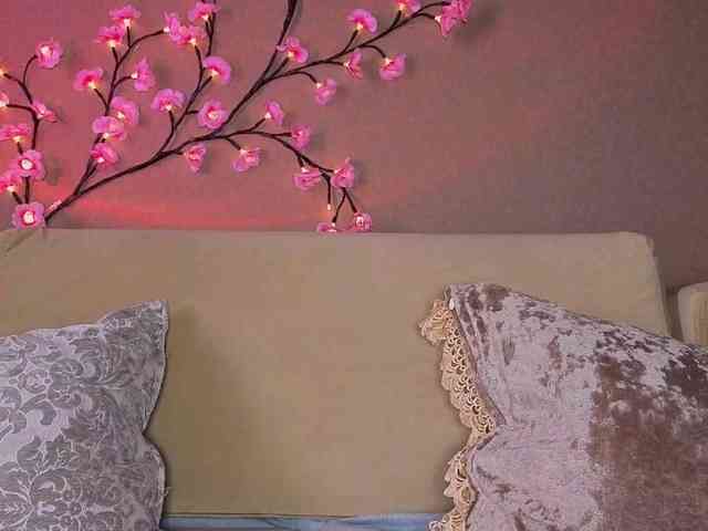 SoraKitty webcam