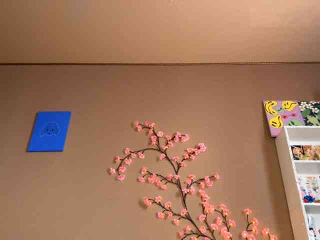 SoraKitty webcam