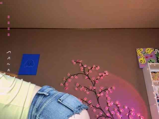 SoraKitty webcam