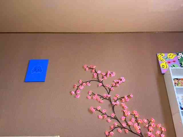 SoraKitty webcam