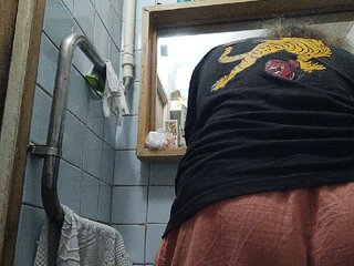 WilbderriesParapapapam