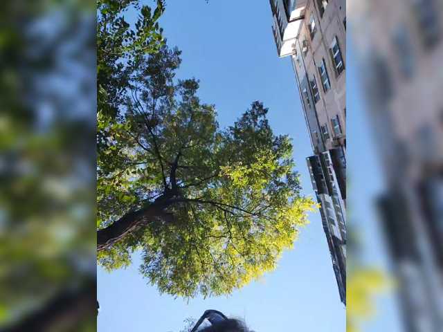 MySky23