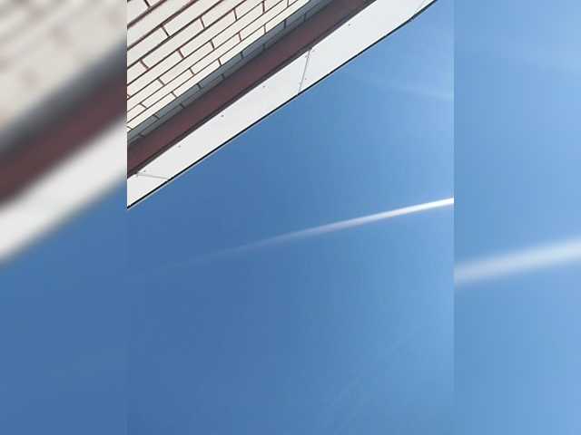 MySky23's BongaCams show and profile