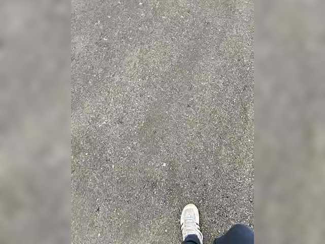 MySky23's BongaCams show and profile