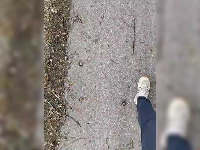 MySky23's BongaCams show and profile