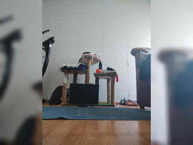 MySky23 webcam