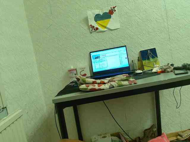 online porn chat room MySky23
